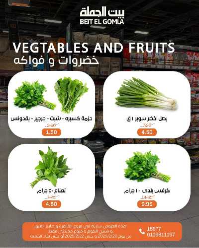 عروض الويك اند من بيت الجمله 15