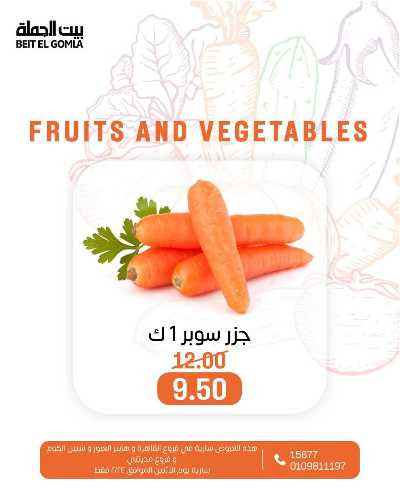 عروض الاثنين من بيت الجمله  12