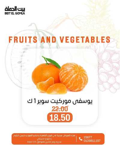 عروض الاثنين من بيت الجمله  3