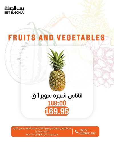عروض الاثنين من بيت الجمله  5