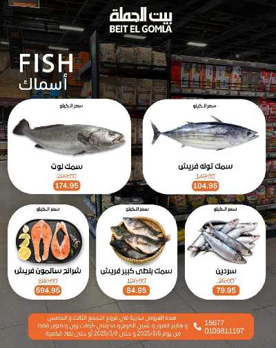 عروض الويك اند من بيت الجمله 10