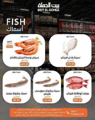 عروض الويك اند من بيت الجمله 12