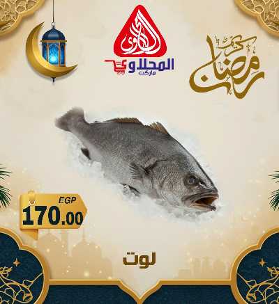 عروض شادر الاسماك من المحلاوى 1