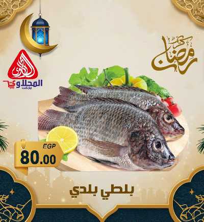 عروض شادر الاسماك من المحلاوى 1