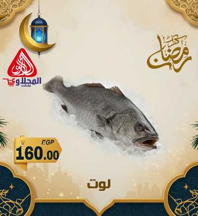 عروض شادر الاسماك من المحلاوى 2