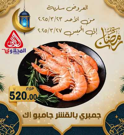 عروض شادر الاسماك من المحلاوى 1