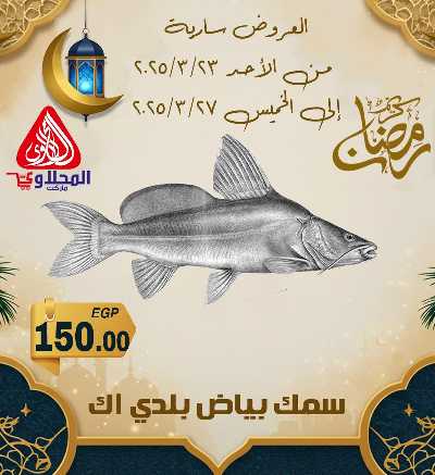 عروض شادر الاسماك من المحلاوى 6