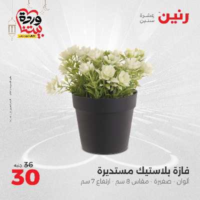 عروض الثلاثاء و الاربعاء من رنين 86