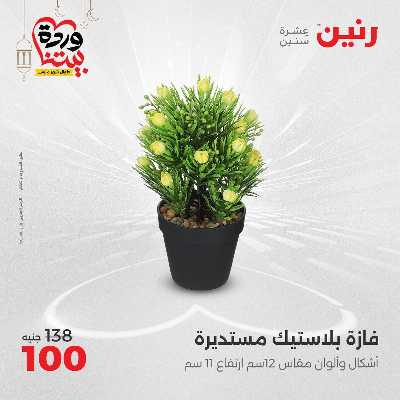 عروض الثلاثاء و الاربعاء من رنين 87