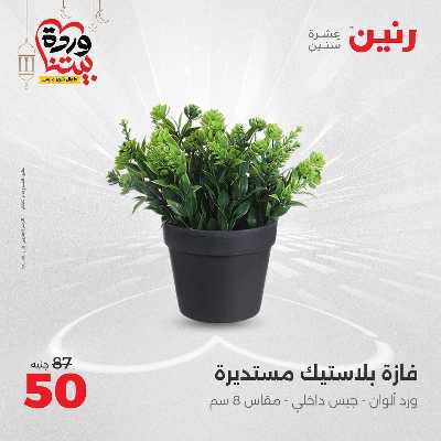 عروض الثلاثاء و الاربعاء من رنين 88