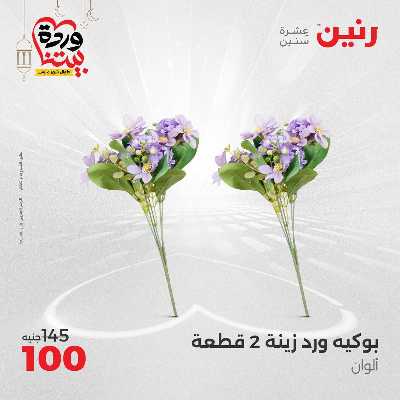 عروض الثلاثاء و الاربعاء من رنين 91