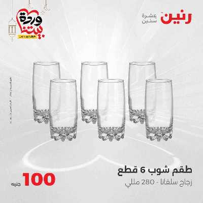 عروض ال 100 ج من رنين 16