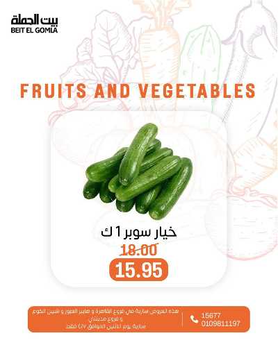 عروض الاثنين من بيت الجمله  11