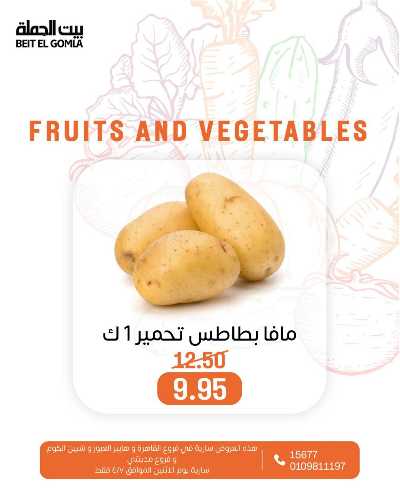 عروض الاثنين من بيت الجمله  12