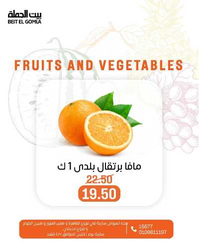 عروض الاثنين من بيت الجمله  7