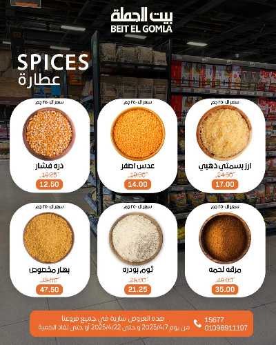 عروض الربيع من بيت الجمله 9