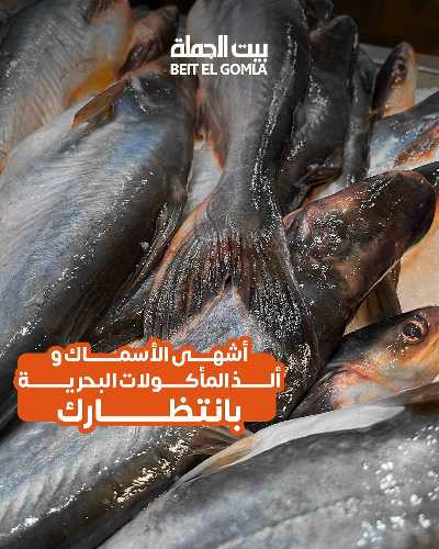 عروض الثلاثاء على الاسماك من بيت الجمله 1