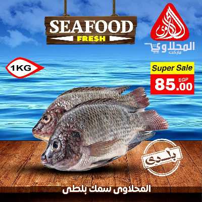 عروض شادر الاسماك من المحلاوى 1