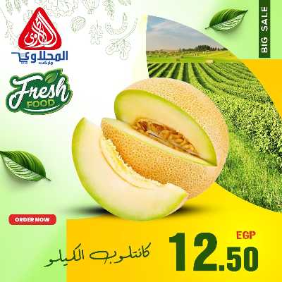 عروض الفريش من المحلاوي 10