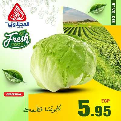 عروض الفريش من المحلاوي 6