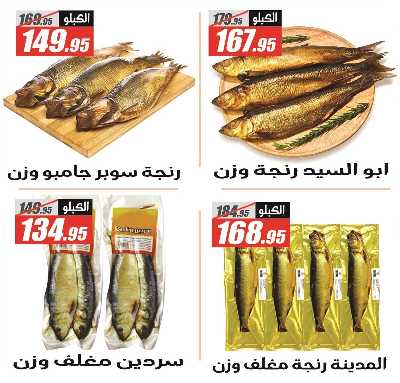 عروض الربيع من الفرجانى 2