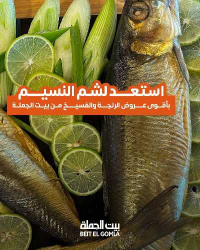 عروض الربيع من بيت الجمله 1