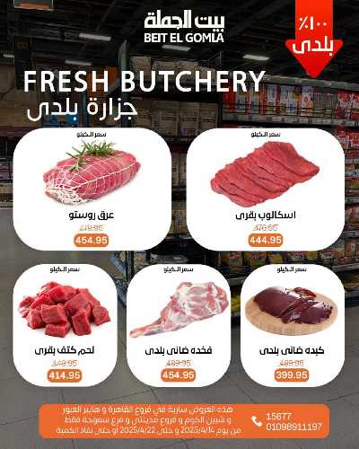 عروض الربيع من بيت الجمله 11