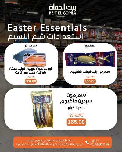 عروض الربيع من بيت الجمله 3