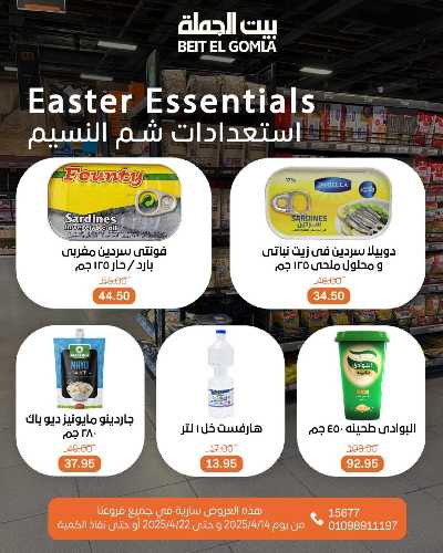 عروض الربيع من بيت الجمله 4