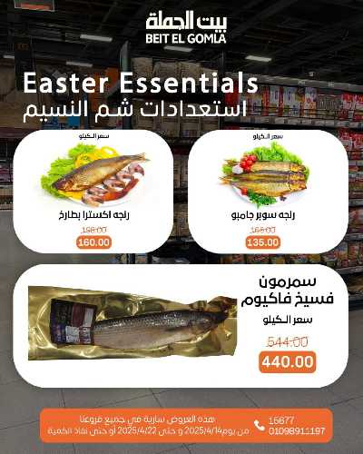 عروض الربيع من بيت الجمله 5