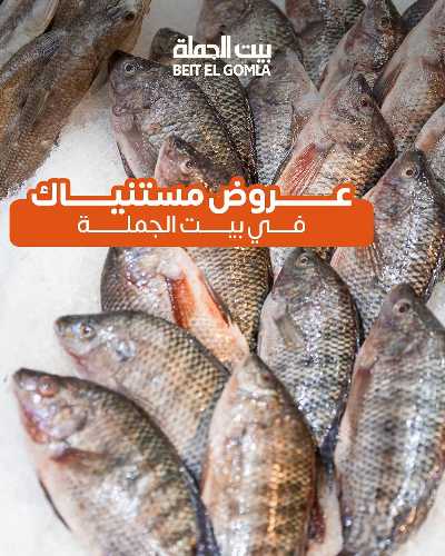 عروض الثلاثاء على الاسماك من بيت الجمله 1