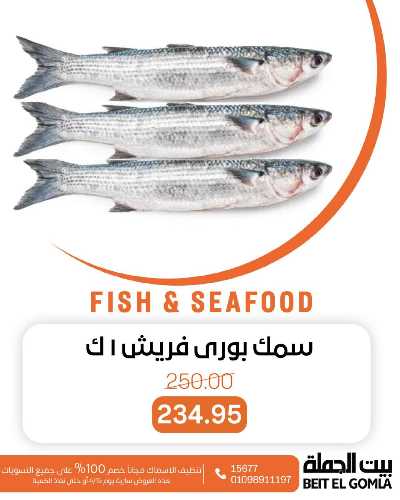عروض الثلاثاء على الاسماك من بيت الجمله 11