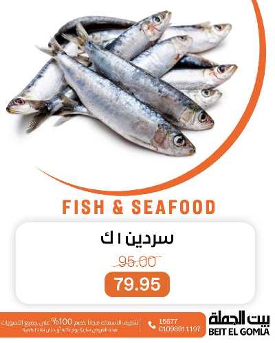 عروض الثلاثاء على الاسماك من بيت الجمله 12