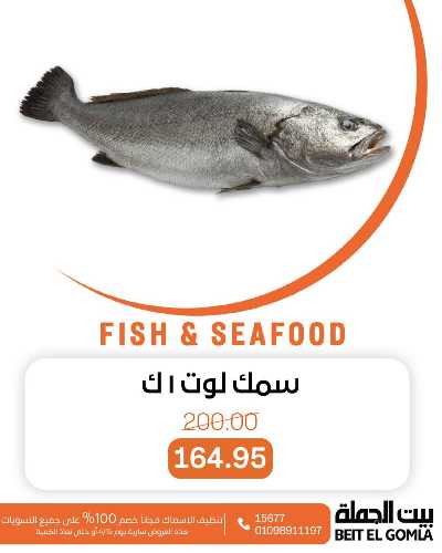 عروض الثلاثاء على الاسماك من بيت الجمله 16