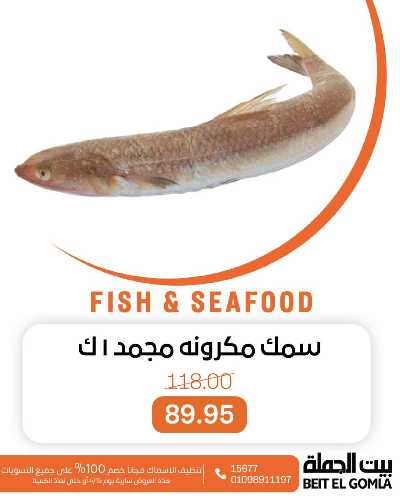 عروض الثلاثاء على الاسماك من بيت الجمله 2