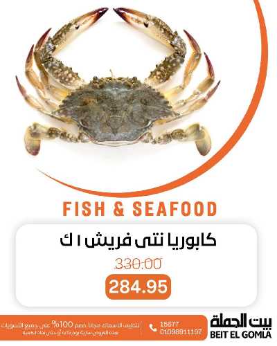 عروض الثلاثاء على الاسماك من بيت الجمله 4