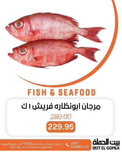 عروض الثلاثاء على الاسماك من بيت الجمله 7