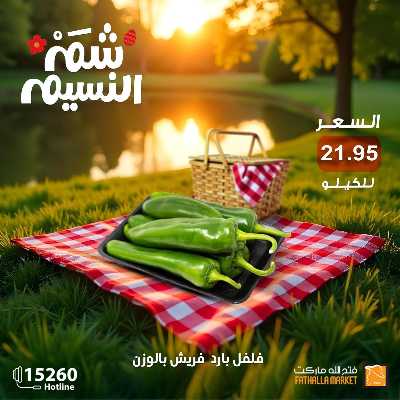 عروض الربيع من فتح الله ماركت 15