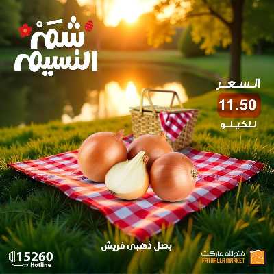 عروض الربيع من فتح الله ماركت 21