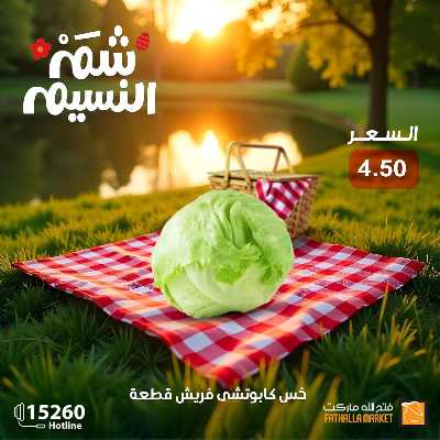 عروض الربيع من فتح الله ماركت 23