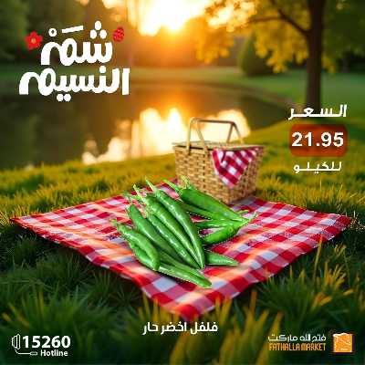 عروض الربيع من فتح الله ماركت 24
