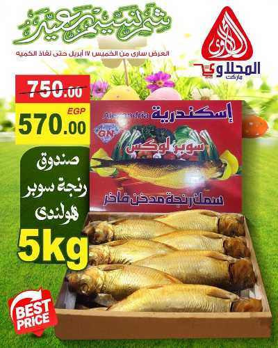 عروض الربيع  من المحلاوي 13