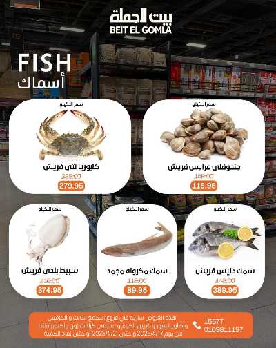 عروض الويك اند من بيت الجملة 10