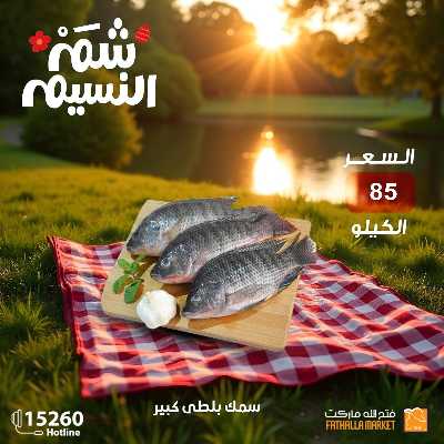 عروض الربيع من فتح الله ماركت 11