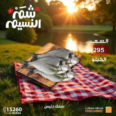 عروض الربيع من فتح الله ماركت 12