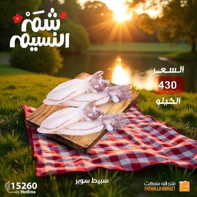 عروض الربيع من فتح الله ماركت 13