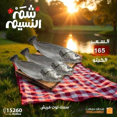 عروض الربيع من فتح الله ماركت 4