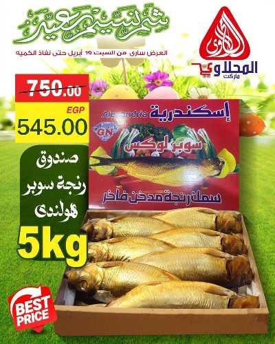 عروض الربيع  من المحلاوي 4