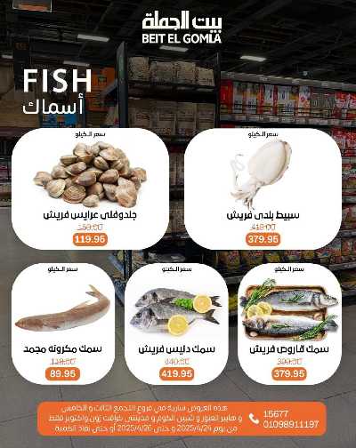 عروض الويك اند من بيت الجملة 10