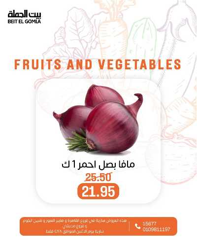 عروض الاثنين من بيت الجمله  13